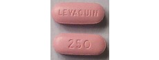 Generic Levaquin (Levofloxacin) 250 mg